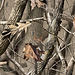 LicensedCamo-AdvantageMax4HD-01.jpg