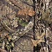 MossyOak-BreakUpCountry.jpg